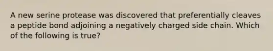 A new serine protease was discovered that preferentially cleaves a peptide bond adjoining a negatively charged side chain. Which of the following is true?