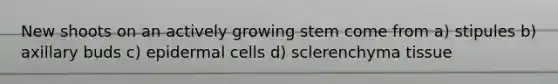 New shoots on an actively growing stem come from a) stipules b) axillary buds c) epidermal cells d) sclerenchyma tissue