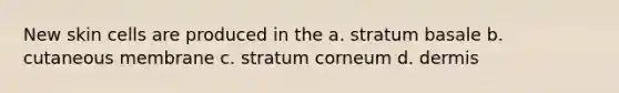 New skin cells are produced in the a. stratum basale b. cutaneous membrane c. stratum corneum d. dermis