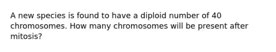 A new species is found to have a diploid number of 40 chromosomes. How many chromosomes will be present after mitosis?