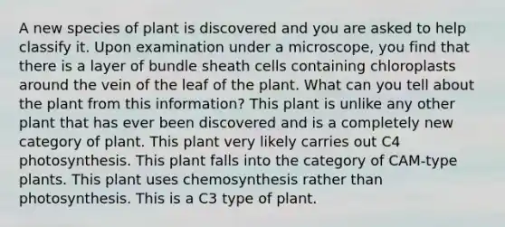 A new species of plant is discovered and you are asked to help classify it. Upon examination under a microscope, you find that there is a layer of bundle sheath cells containing chloroplasts around the vein of the leaf of the plant. What can you tell about the plant from this information? This plant is unlike any other plant that has ever been discovered and is a completely new category of plant. This plant very likely carries out C4 photosynthesis. This plant falls into the category of CAM-type plants. This plant uses chemosynthesis rather than photosynthesis. This is a C3 type of plant.