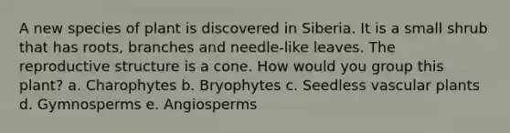 A new species of plant is discovered in Siberia. It is a small shrub that has roots, branches and needle-like leaves. The reproductive structure is a cone. How would you group this plant? a. Charophytes b. Bryophytes c. Seedless vascular plants d. Gymnosperms e. Angiosperms