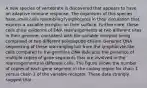 A new species of vertebrate is discovered that appears to have an adaptive immune response. The organisms of this species have small cells resembling lymphocytes in their circulation that express a variable receptor on their surface. Furthermore, these cells show evidence of DNA rearrangements at two different sites in their genome, consistent with the variable receptor being comprised of two different polypeptide chains. Genomic DNA sequencing of these rearranging loci from the lymphocyte-like cells compared to the germline DNA indicates the presence of multiple copies of gene segments that are involved in the rearrangements in different cells. The figure shows the number of copies of each gene segment in the coding region for chain 1 versus chain 2 of the variable receptor. These data strongly suggest that: