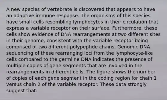 A new species of vertebrate is discovered that appears to have an adaptive immune response. The organisms of this species have small cells resembling lymphocytes in their circulation that express a variable receptor on their surface. Furthermore, these cells show evidence of DNA rearrangements at two different sites in their genome, consistent with the variable receptor being comprised of two different polypeptide chains. Genomic DNA sequencing of these rearranging loci from the lymphocyte-like cells compared to the germline DNA indicates the presence of multiple copies of gene segments that are involved in the rearrangements in different cells. The figure shows the number of copies of each gene segment in the coding region for chain 1 versus chain 2 of the variable receptor. These data strongly suggest that: