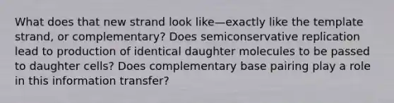 What does that new strand look like—exactly like the template strand, or complementary? Does semiconservative replication lead to production of identical daughter molecules to be passed to daughter cells? Does complementary base pairing play a role in this information transfer?