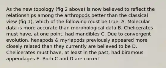 As the new topology (fig 2 above) is now believed to reflect the relationships among the arthropods better than the classical view (fig 1), which of the following must be true. A. Molecular data is more accurate than morphological data B. Chelicerates must have, at one point, had mandibles C. Due to convergent evolution, hexapods & myriapods previously appeared more closely related than they currently are believed to be D. Chelicerates must have, at least in the past, had biramous appendages E. Both C and D are correct