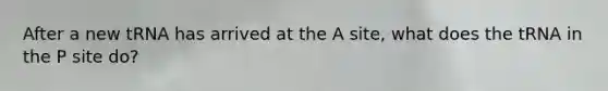 After a new tRNA has arrived at the A site, what does the tRNA in the P site do?