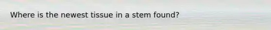 Where is the newest tissue in a stem found?