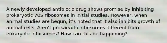 A newly developed antibiotic drug shows promise by inhibiting prokaryotic 70S ribosomes in initial studies. However, when animal studies are begun, it's noted that it also inhibits growth of animal cells. Aren't prokaryotic ribosomes different from eukaryotic ribosomes? How can this be happening?