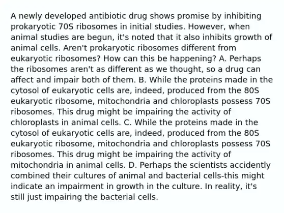 A newly developed antibiotic drug shows promise by inhibiting prokaryotic 70S ribosomes in initial studies. However, when animal studies are begun, it's noted that it also inhibits growth of animal cells. Aren't prokaryotic ribosomes different from eukaryotic ribosomes? How can this be happening? A. Perhaps the ribosomes aren't as different as we thought, so a drug can affect and impair both of them. B. While the proteins made in the cytosol of eukaryotic cells are, indeed, produced from the 80S eukaryotic ribosome, mitochondria and chloroplasts possess 70S ribosomes. This drug might be impairing the activity of chloroplasts in animal cells. C. While the proteins made in the cytosol of eukaryotic cells are, indeed, produced from the 80S eukaryotic ribosome, mitochondria and chloroplasts possess 70S ribosomes. This drug might be impairing the activity of mitochondria in animal cells. D. Perhaps the scientists accidently combined their cultures of animal and bacterial cells-this might indicate an impairment in growth in the culture. In reality, it's still just impairing the bacterial cells.