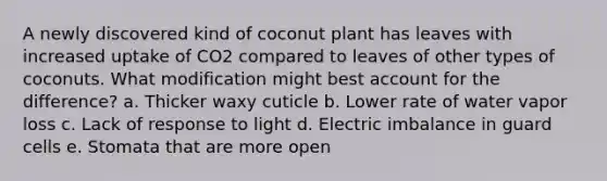 A newly discovered kind of coconut plant has leaves with increased uptake of CO2 compared to leaves of other types of coconuts. What modification might best account for the difference? a. Thicker waxy cuticle b. Lower rate of water vapor loss c. Lack of response to light d. Electric imbalance in guard cells e. Stomata that are more open