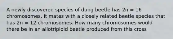 A newly discovered species of dung beetle has 2n = 16 chromosomes. It mates with a closely related beetle species that has 2n = 12 chromosomes. How many chromosomes would there be in an allotriploid beetle produced from this cross