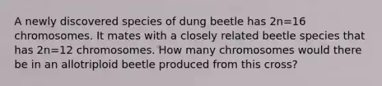 A newly discovered species of dung beetle has 2n=16 chromosomes. It mates with a closely related beetle species that has 2n=12 chromosomes. How many chromosomes would there be in an allotriploid beetle produced from this cross?