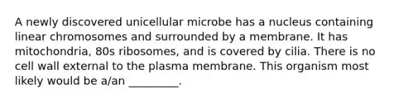 A newly discovered unicellular microbe has a nucleus containing linear chromosomes and surrounded by a membrane. It has mitochondria, 80s ribosomes, and is covered by cilia. There is no cell wall external to the plasma membrane. This organism most likely would be a/an _________.