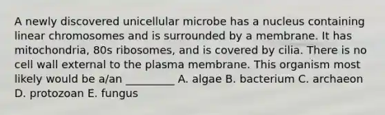 A newly discovered unicellular microbe has a nucleus containing linear chromosomes and is surrounded by a membrane. It has mitochondria, 80s ribosomes, and is covered by cilia. There is no cell wall external to the plasma membrane. This organism most likely would be a/an _________ A. algae B. bacterium C. archaeon D. protozoan E. fungus