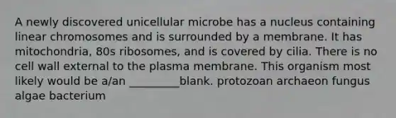 A newly discovered unicellular microbe has a nucleus containing linear chromosomes and is surrounded by a membrane. It has mitochondria, 80s ribosomes, and is covered by cilia. There is no cell wall external to the plasma membrane. This organism most likely would be a/an _________blank. protozoan archaeon fungus algae bacterium