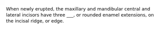 When newly erupted, the maxillary and mandibular central and lateral incisors have three ___, or rounded enamel extensions, on the incisal ridge, or edge.