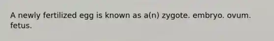 A newly fertilized egg is known as a(n) zygote. embryo. ovum. fetus.