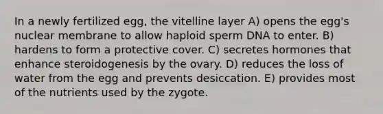 In a newly fertilized egg, the vitelline layer A) opens the egg's nuclear membrane to allow haploid sperm DNA to enter. B) hardens to form a protective cover. C) secretes hormones that enhance steroidogenesis by the ovary. D) reduces the loss of water from the egg and prevents desiccation. E) provides most of the nutrients used by the zygote.