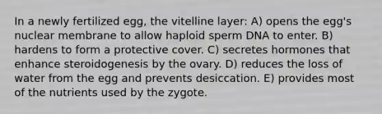 In a newly fertilized egg, the vitelline layer: A) opens the egg's nuclear membrane to allow haploid sperm DNA to enter. B) hardens to form a protective cover. C) secretes hormones that enhance steroidogenesis by the ovary. D) reduces the loss of water from the egg and prevents desiccation. E) provides most of the nutrients used by the zygote.