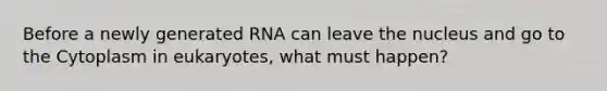 Before a newly generated RNA can leave the nucleus and go to the Cytoplasm in eukaryotes, what must happen?