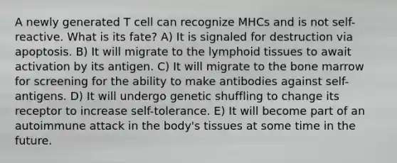 A newly generated T cell can recognize MHCs and is not self-reactive. What is its fate? A) It is signaled for destruction via apoptosis. B) It will migrate to the lymphoid tissues to await activation by its antigen. C) It will migrate to the bone marrow for screening for the ability to make antibodies against self-antigens. D) It will undergo genetic shuffling to change its receptor to increase self-tolerance. E) It will become part of an autoimmune attack in the body's tissues at some time in the future.