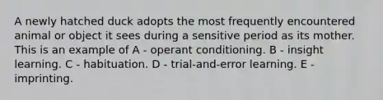 A newly hatched duck adopts the most frequently encountered animal or object it sees during a sensitive period as its mother. This is an example of A - operant conditioning. B - insight learning. C - habituation. D - trial-and-error learning. E - imprinting.