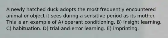 A newly hatched duck adopts the most frequently encountered animal or object it sees during a sensitive period as its mother. This is an example of A) operant conditioning. B) insight learning. C) habituation. D) trial-and-error learning. E) imprinting.