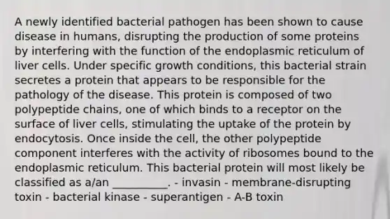 A newly identified bacterial pathogen has been shown to cause disease in humans, disrupting the production of some proteins by interfering with the function of the endoplasmic reticulum of liver cells. Under specific growth conditions, this bacterial strain secretes a protein that appears to be responsible for the pathology of the disease. This protein is composed of two polypeptide chains, one of which binds to a receptor on the surface of liver cells, stimulating the uptake of the protein by endocytosis. Once inside the cell, the other polypeptide component interferes with the activity of ribosomes bound to the endoplasmic reticulum. This bacterial protein will most likely be classified as a/an __________. - invasin - membrane-disrupting toxin - bacterial kinase - superantigen - A-B toxin