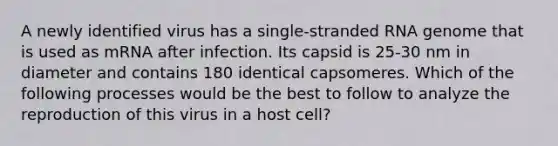 A newly identified virus has a single-stranded RNA genome that is used as mRNA after infection. Its capsid is 25-30 nm in diameter and contains 180 identical capsomeres. Which of the following processes would be the best to follow to analyze the reproduction of this virus in a host cell?