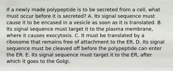 If a newly made polypeptide is to be secreted from a cell, what must occur before it is secreted? A. Its signal sequence must cause it to be encased in a vesicle as soon as it is translated. B. Its signal sequence must target it to the plasma membrane, where it causes exocytosis. C. It must be translated by a ribosome that remains free of attachment to the ER. D. Its signal sequence must be cleaved off before the polypeptide can enter the ER. E. Its signal sequence must target it to the ER, after which it goes to the Golgi.