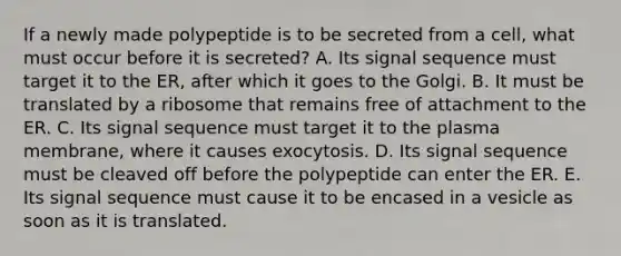 If a newly made polypeptide is to be secreted from a cell, what must occur before it is secreted? A. Its signal sequence must target it to the ER, after which it goes to the Golgi. B. It must be translated by a ribosome that remains free of attachment to the ER. C. Its signal sequence must target it to the plasma membrane, where it causes exocytosis. D. Its signal sequence must be cleaved off before the polypeptide can enter the ER. E. Its signal sequence must cause it to be encased in a vesicle as soon as it is translated.