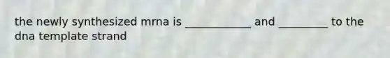 the newly synthesized mrna is ____________ and _________ to the dna template strand