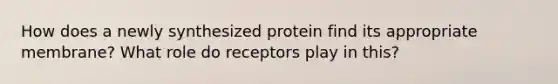 How does a newly synthesized protein find its appropriate membrane? What role do receptors play in this?