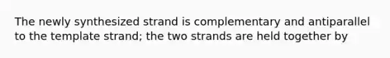 The newly synthesized strand is complementary and antiparallel to the template strand; the two strands are held together by