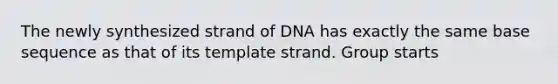 The newly synthesized strand of DNA has exactly the same base sequence as that of its template strand. Group starts