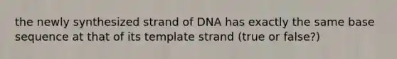 the newly synthesized strand of DNA has exactly the same base sequence at that of its template strand (true or false?)