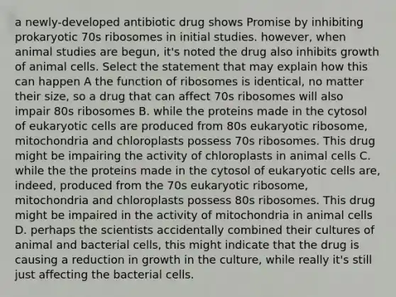 a newly-developed antibiotic drug shows Promise by inhibiting prokaryotic 70s ribosomes in initial studies. however, when animal studies are begun, it's noted the drug also inhibits growth of animal cells. Select the statement that may explain how this can happen A the function of ribosomes is identical, no matter their size, so a drug that can affect 70s ribosomes will also impair 80s ribosomes B. while the proteins made in the cytosol of <a href='https://www.questionai.com/knowledge/kb526cpm6R-eukaryotic-cells' class='anchor-knowledge'>eukaryotic cells</a> are produced from 80s eukaryotic ribosome, mitochondria and chloroplasts possess 70s ribosomes. This drug might be impairing the activity of chloroplasts in animal cells C. while the the proteins made in the cytosol of eukaryotic cells are, indeed, produced from the 70s eukaryotic ribosome, mitochondria and chloroplasts possess 80s ribosomes. This drug might be impaired in the activity of mitochondria in animal cells D. perhaps the scientists accidentally combined their cultures of animal and bacterial cells, this might indicate that the drug is causing a reduction in growth in the culture, while really it's still just affecting the bacterial cells.