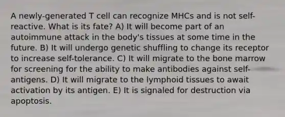 A newly-generated T cell can recognize MHCs and is not self-reactive. What is its fate? A) It will become part of an autoimmune attack in the body's tissues at some time in the future. B) It will undergo genetic shuffling to change its receptor to increase self-tolerance. C) It will migrate to the bone marrow for screening for the ability to make antibodies against self-antigens. D) It will migrate to the lymphoid tissues to await activation by its antigen. E) It is signaled for destruction via apoptosis.