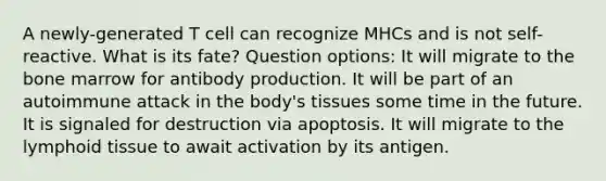 A newly-generated T cell can recognize MHCs and is not self-reactive. What is its fate? Question options: It will migrate to the bone marrow for antibody production. It will be part of an autoimmune attack in the body's tissues some time in the future. It is signaled for destruction via apoptosis. It will migrate to the lymphoid tissue to await activation by its antigen.