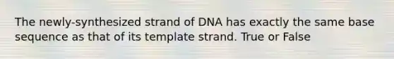 The newly-synthesized strand of DNA has exactly the same base sequence as that of its template strand. True or False