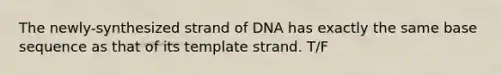 The newly-synthesized strand of DNA has exactly the same base sequence as that of its template strand. T/F