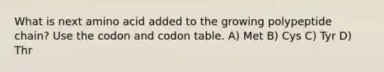 What is next amino acid added to the growing polypeptide chain? Use the codon and codon table. A) Met B) Cys C) Tyr D) Thr