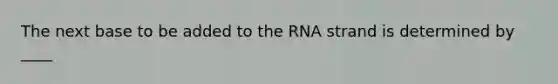 The next base to be added to the RNA strand is determined by ____