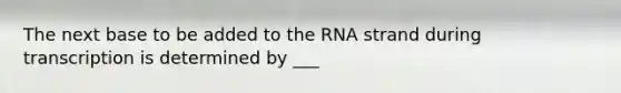 The next base to be added to the RNA strand during transcription is determined by ___