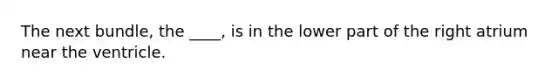 The next bundle, the ____, is in the lower part of the right atrium near the ventricle.