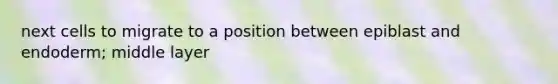 next cells to migrate to a position between epiblast and endoderm; middle layer