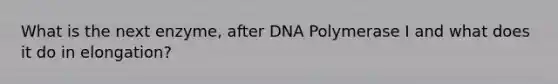 What is the next enzyme, after DNA Polymerase I and what does it do in elongation?