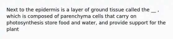 Next to the epidermis is a layer of ground tissue called the __ , which is composed of parenchyma cells that carry on photosynthesis store food and water, and provide support for the plant