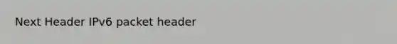 Next Header IPv6 packet header